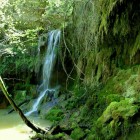 Gorg Blau - ae5e7-Gorg-Blau-Ollers.jpg